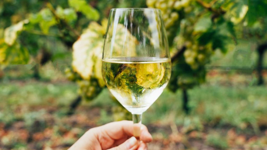 Ireland’s small but determined wine industry warming up