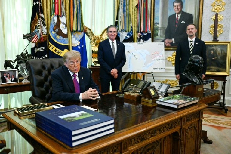 Driven by distraction? Trump steps up stunts as US midterms loom