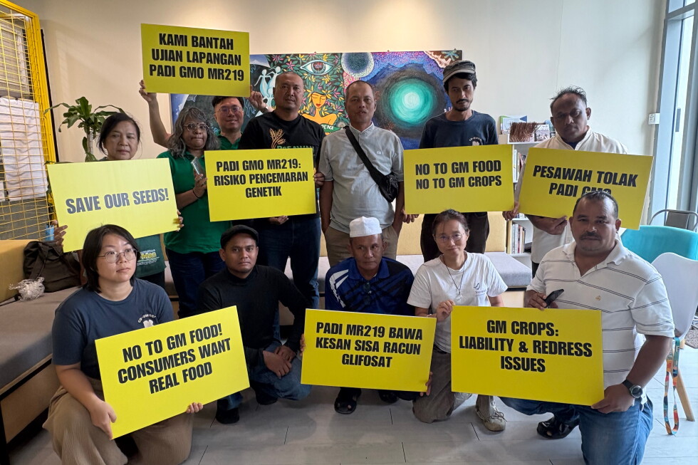 Malaysian farmers, environmental groups call for rejection of GMO rice trial