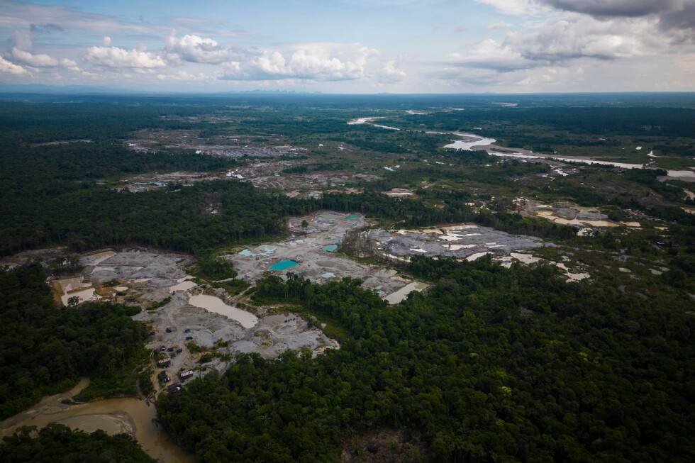 Five Amazon countries arrest hundreds in major crackdown on environmental crime