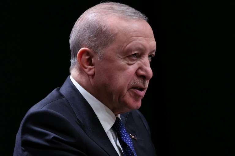 Turkish MPs back limited amnesty for Kurdish militants