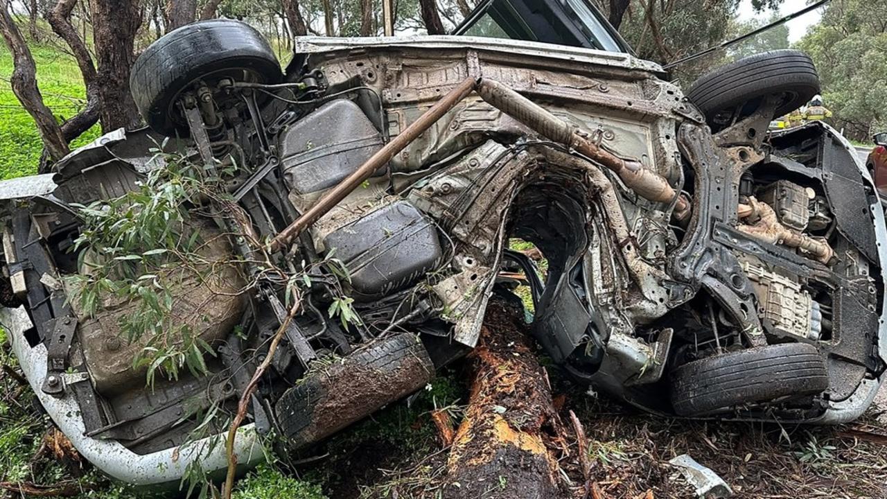 Young driver narrowly escapes with minor injuries after car wraps around tree in South Adelaide