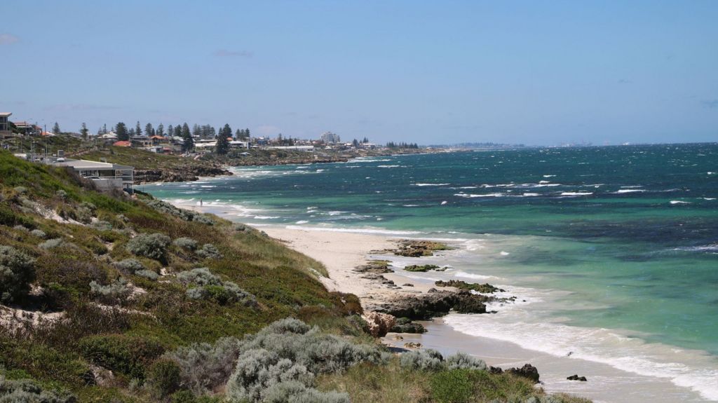 Swimmer missing after suspected shark attack off Australian west coast