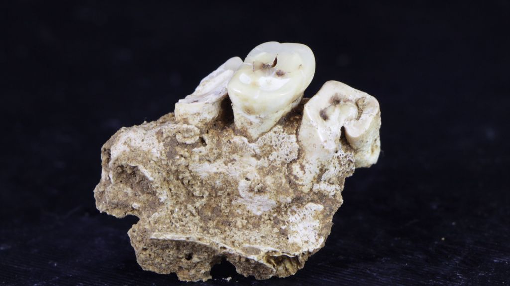 Drug use may have begun 25,000 years ago in Indonesia, research finds