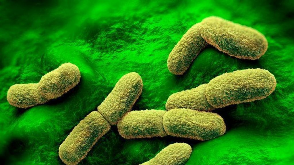 US ‘watching closely’ after plague researcher dies in Russia, Rubio says